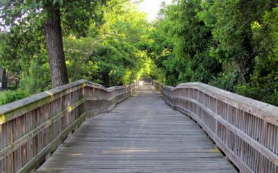 Greenway Rejuvenated