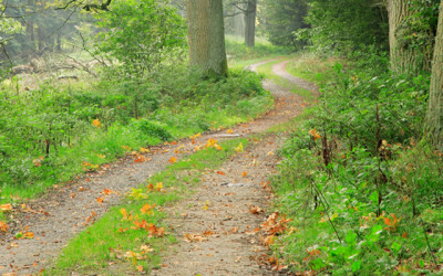 Environmental Transformation