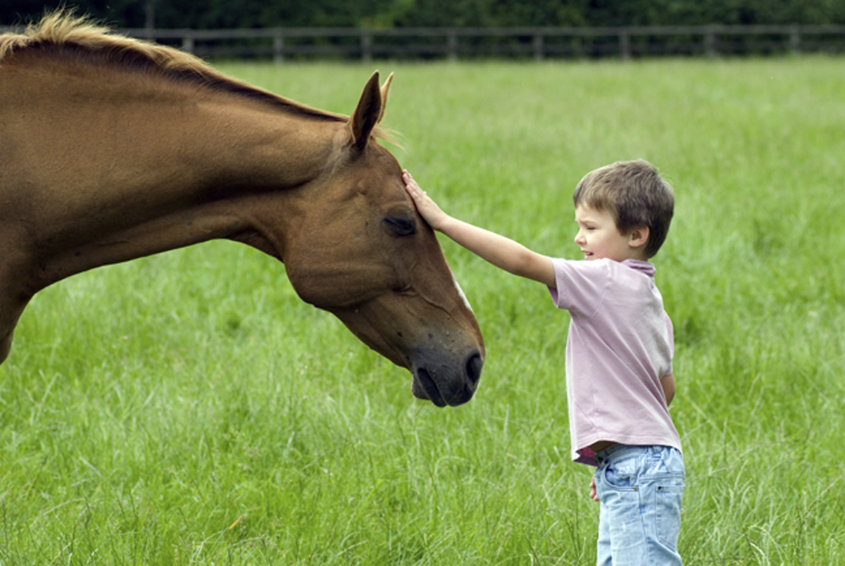 Helping Horse WorldLegacy Leadership Project