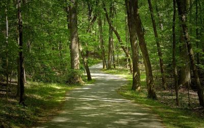 YWCA Greenway Trail